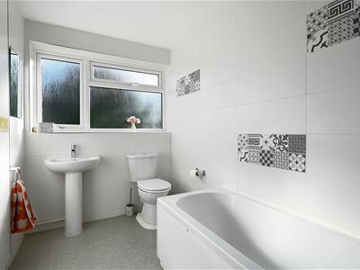 Picture 13